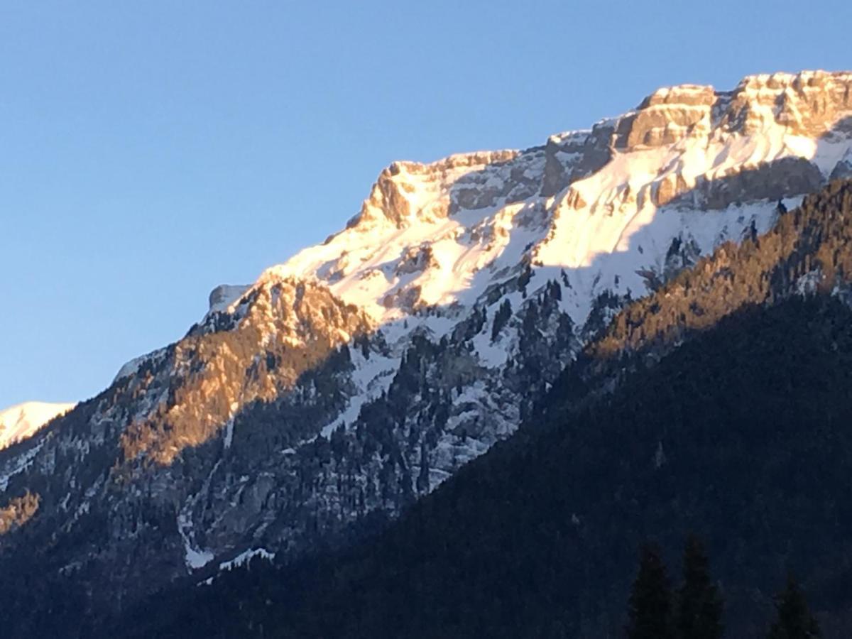 Ferienwohnung Interlaken/Wilderswil Luaran gambar